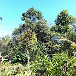 Rusma House Ubud